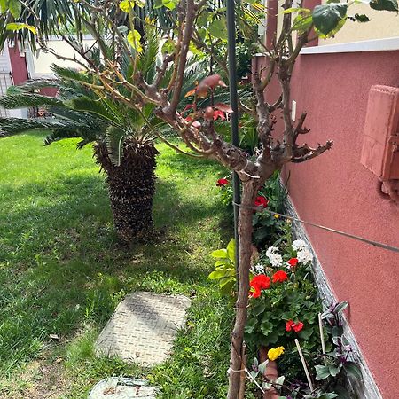 רוגוזניצה Apartments Villa Stella Maris מראה חיצוני תמונה