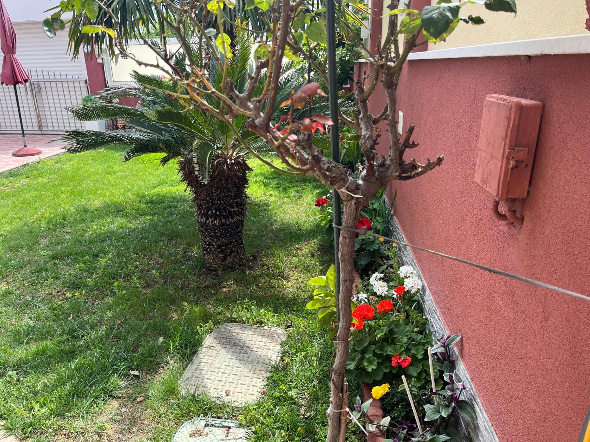 רוגוזניצה Apartments Villa Stella Maris מראה חיצוני תמונה