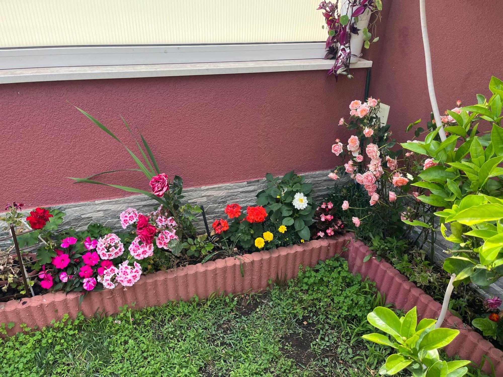 רוגוזניצה Apartments Villa Stella Maris מראה חיצוני תמונה