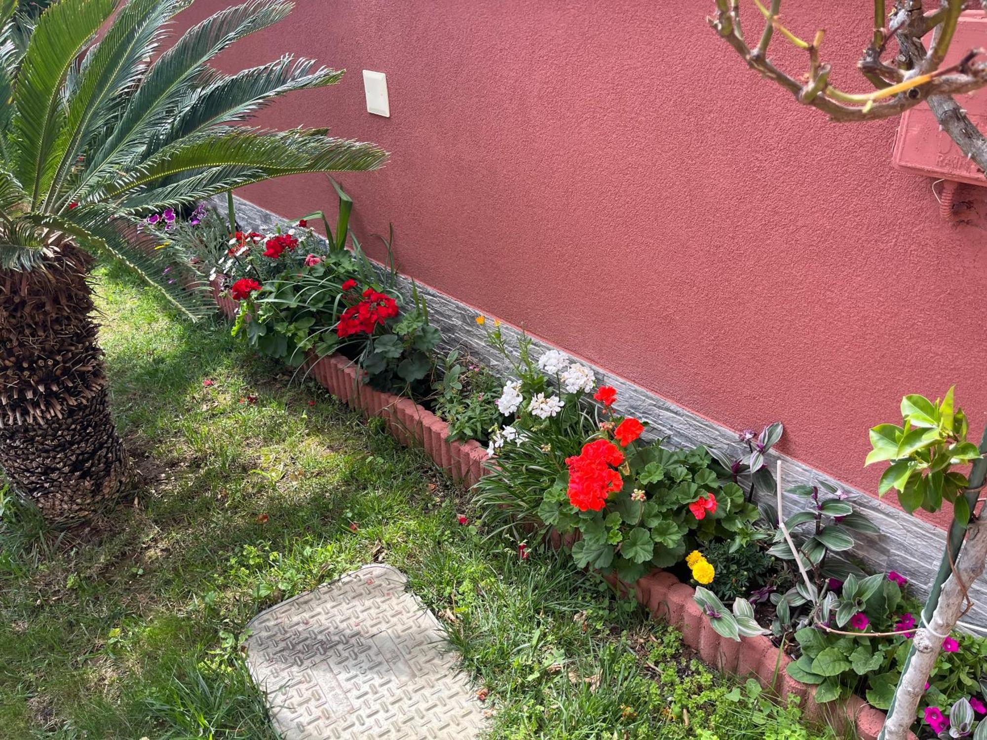 רוגוזניצה Apartments Villa Stella Maris מראה חיצוני תמונה